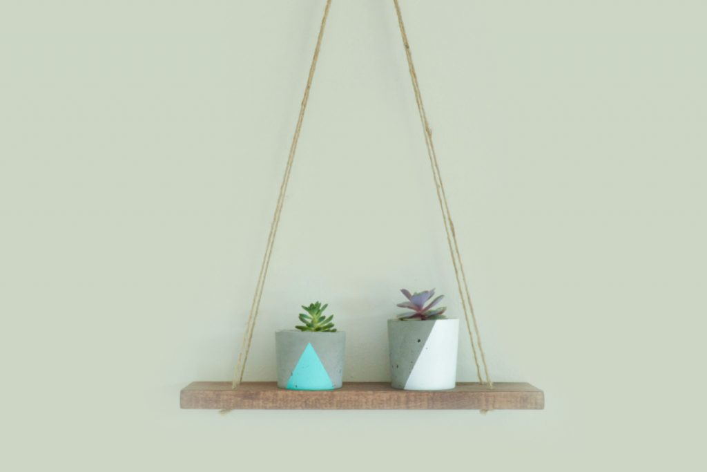 DIY plants hanging on the wall