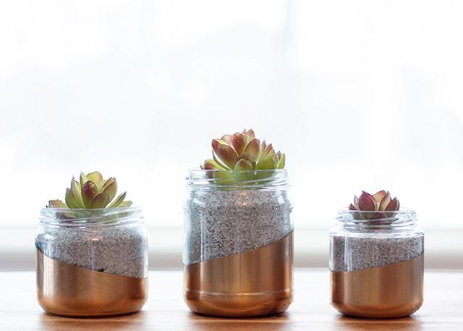 image of DIY Eco-Friendly Home Decor with jars upcycled to be filled with  plants on the wall