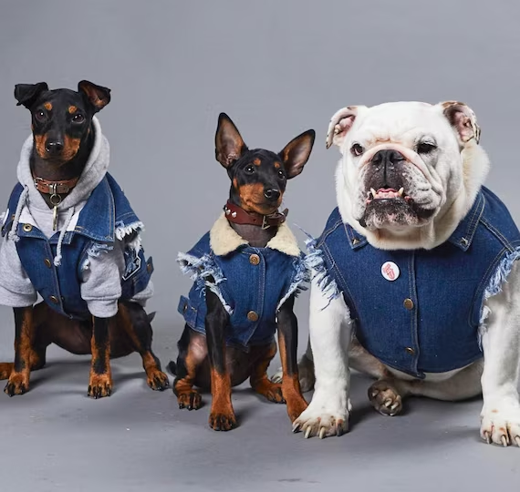 Barkin’ Good Looks: Unleashing the Latest Canine Fashion Trends