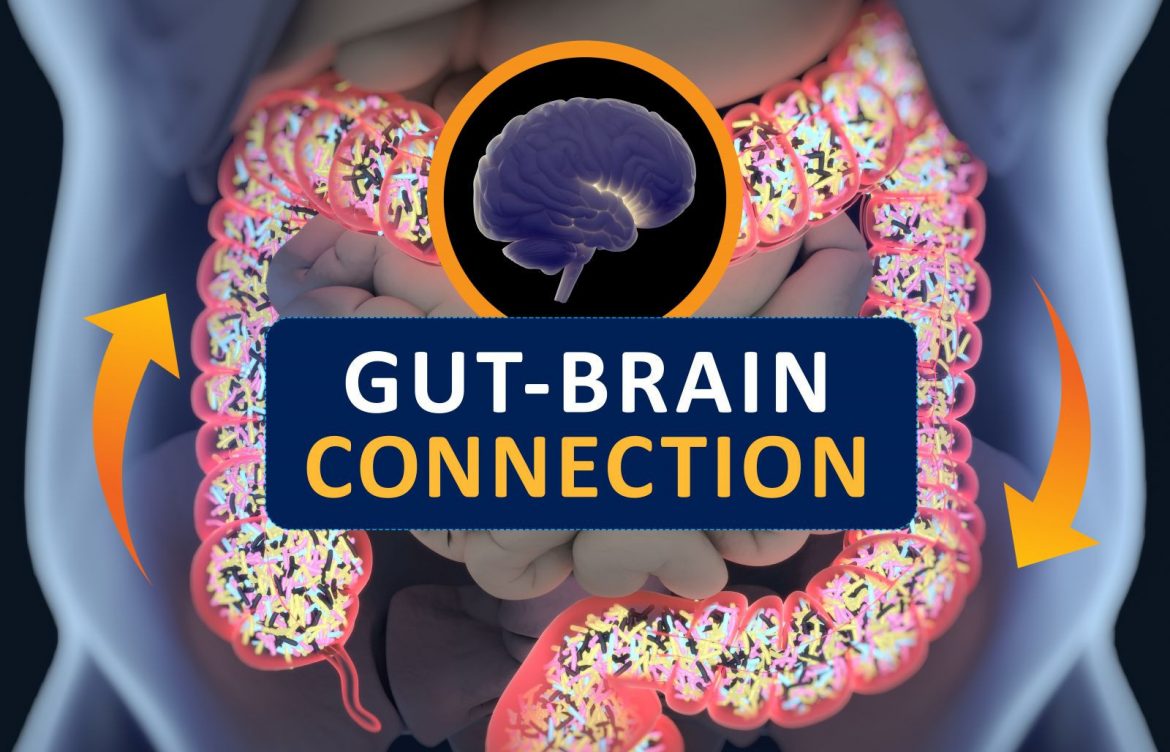 Exploring the Gut-Brain Connection: Enhancing Your Mood and Well-Being